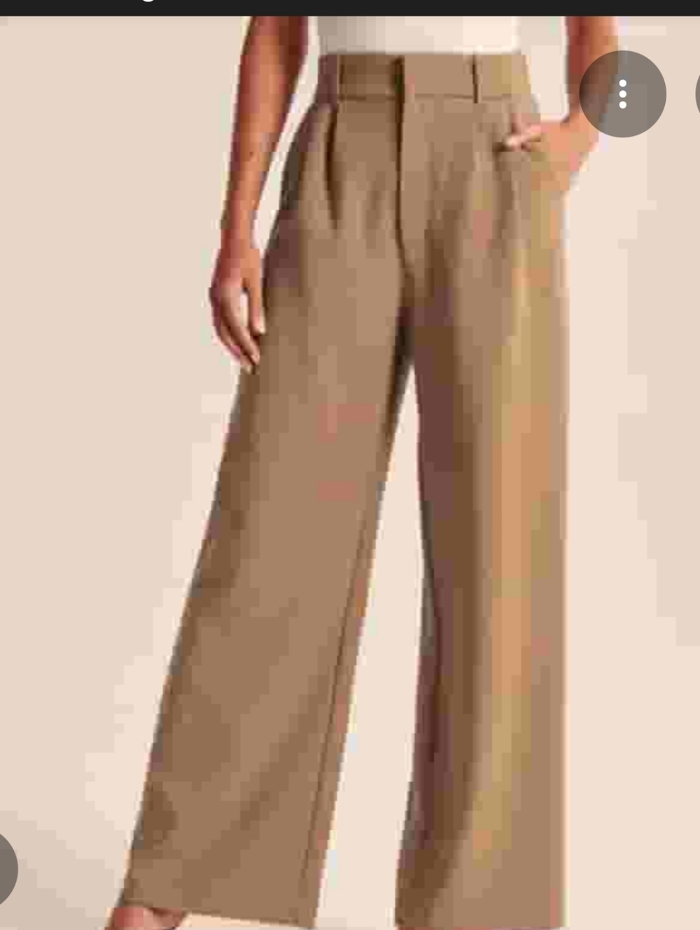 Banana Republic Wide Leg High-Waist Pants in Khaki